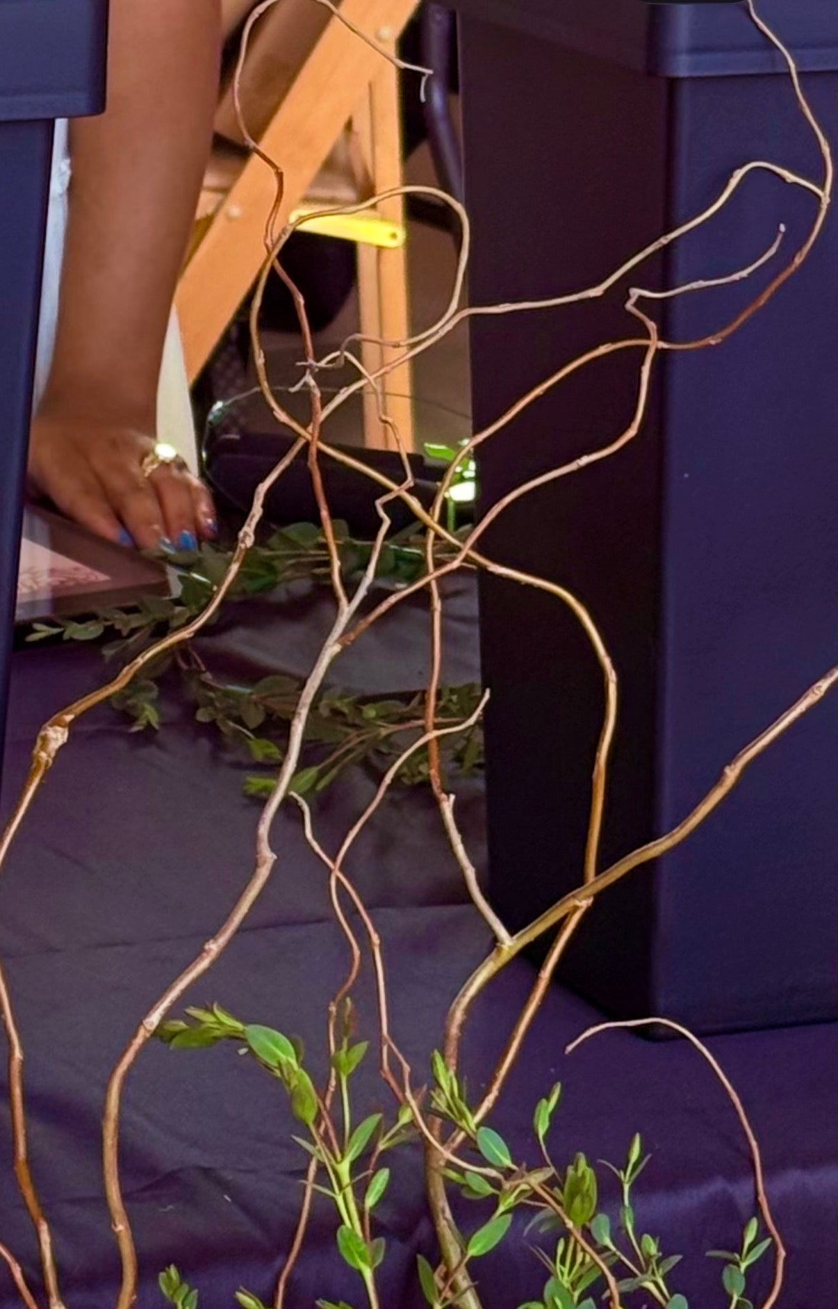 Curly Willow Tips