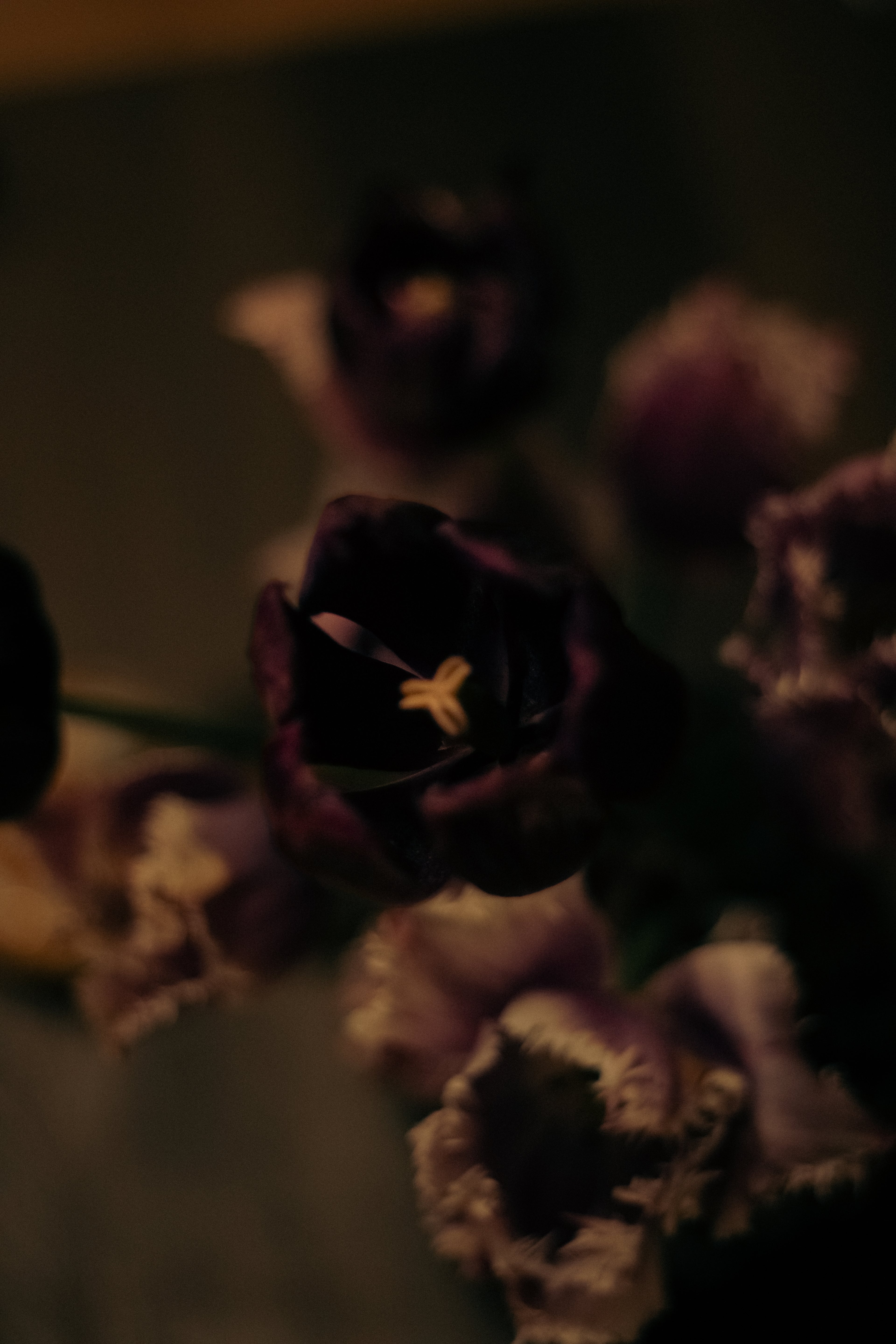 Lilith - A Floral Devotion