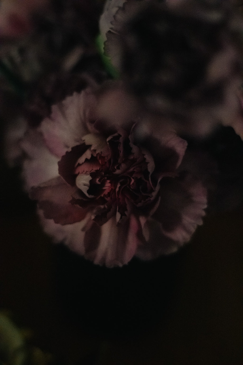 Eden Offering