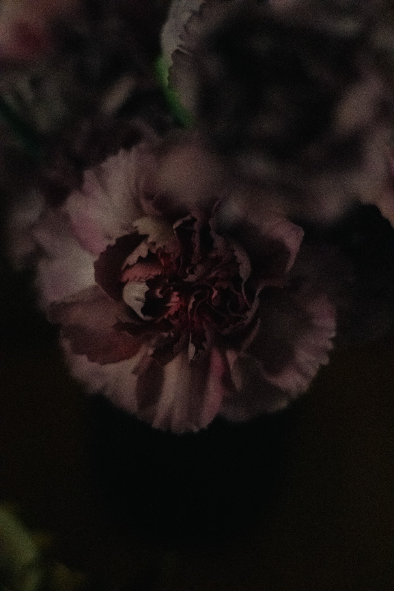 Eden Offering