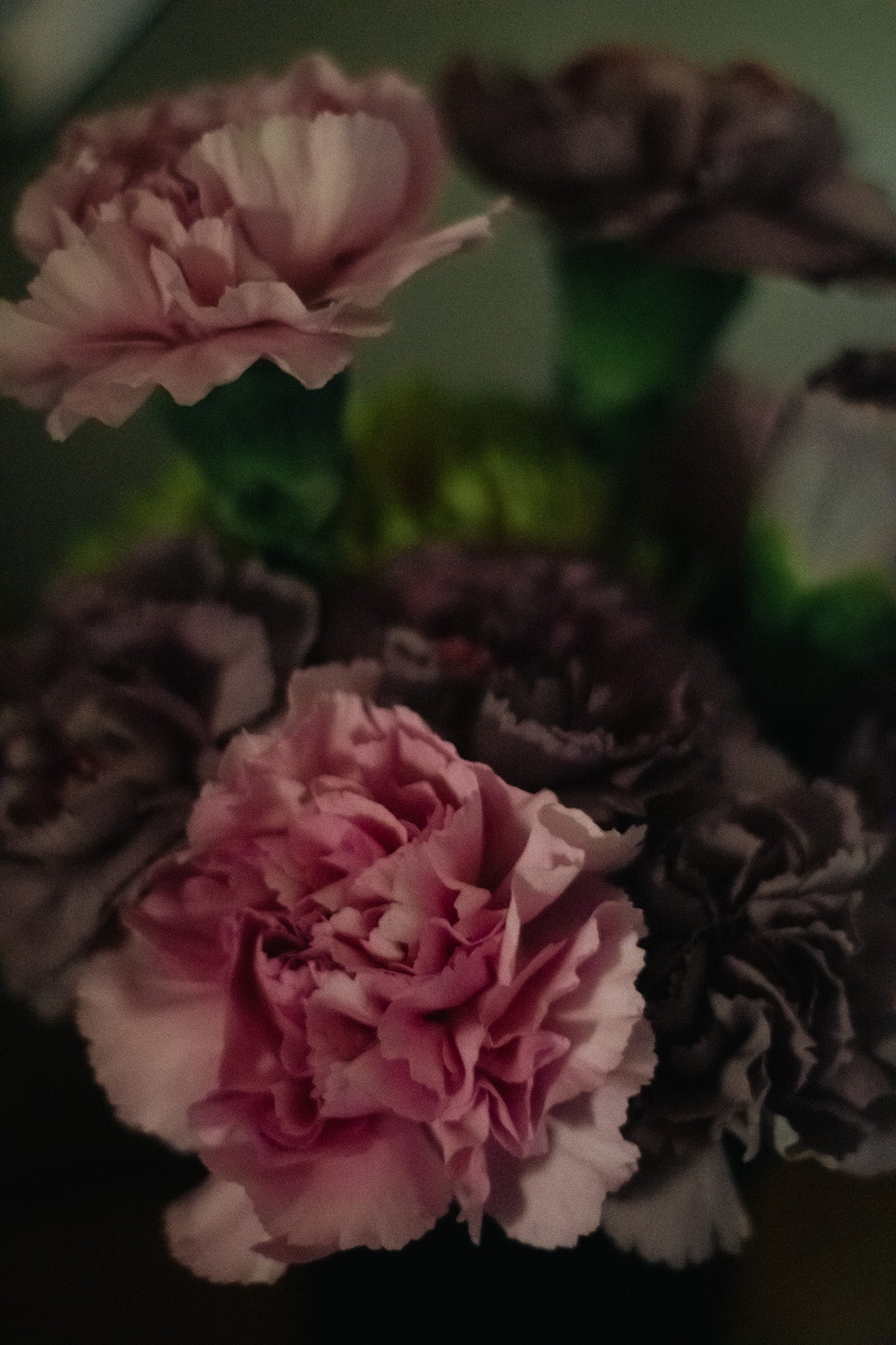 Eden Offering